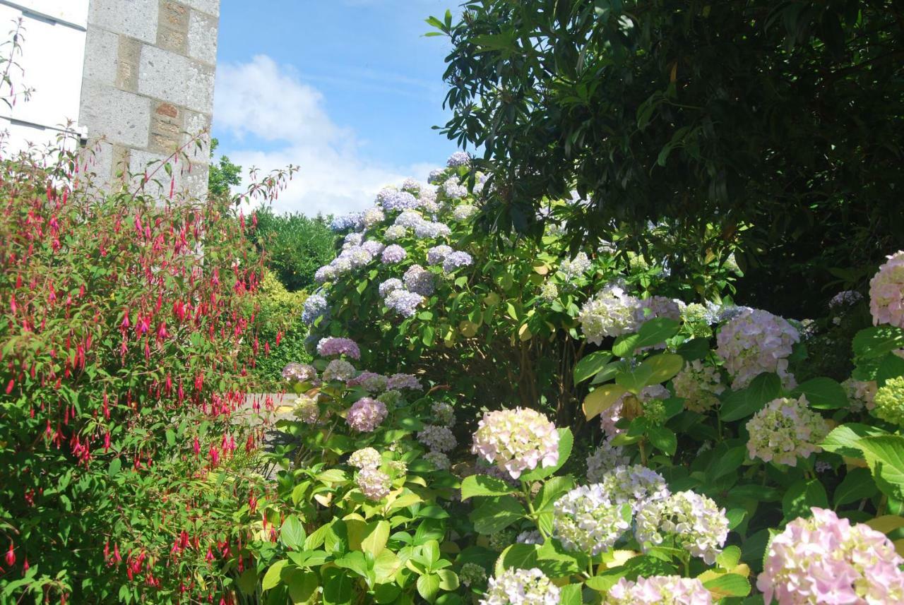 B&B Le Mesnil Saint-Senier-sous-Avranches Bagian luar foto